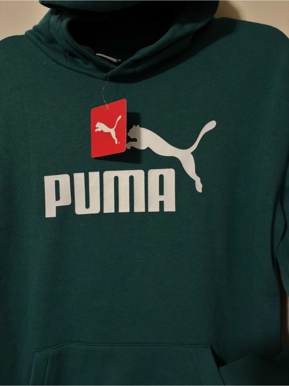 Puma Men's Teal Pullover Hoodie with White Logo - Picture 2 of 2
